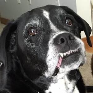 Meet your Posher, Judy